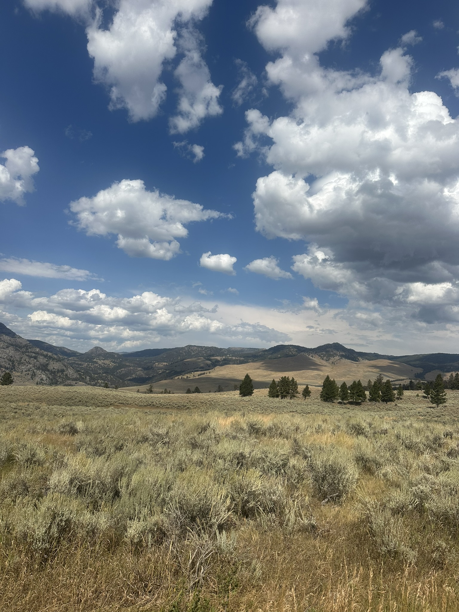 Yellowstone And Grand Teton National Parks - Image 762